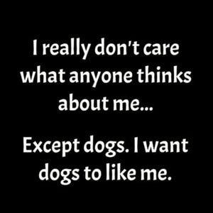 Meet your Posher, Katherine